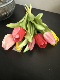 Tulpen mixed 30 cm 7.st