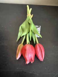 Tulpjes 3 st. fuchsia 25 cm