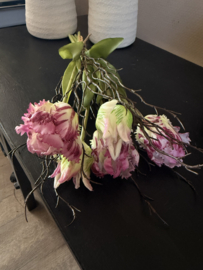 Parrot Tulp Purple + takjes 40 cm