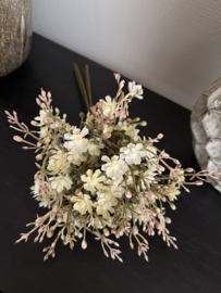 Bundel Gypsophila crème
