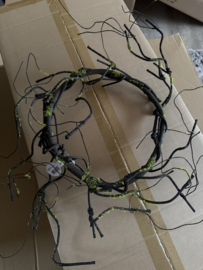 Wilgenkrans Brown green