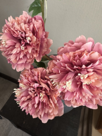 Peony roze 79 cm