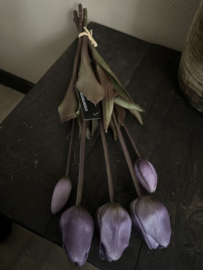Bos tulpen 5 st . paars 47 cm