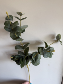 Eucalyptus 76 Cm