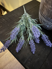 Lavendel