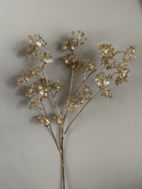 Gypsophillia goud