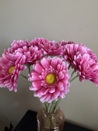 Chrysanthemum Roze 64 cm