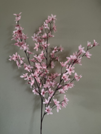 Flower tak roze