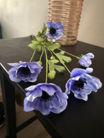 Anemoon blue