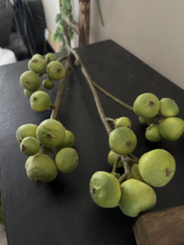 Fruit tak