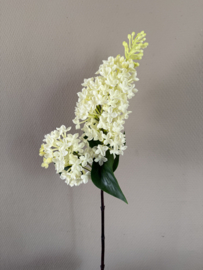 Budleia White 61 cm