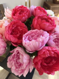 Pioen rozen in 4 kleuren