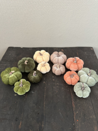 Pompoentjes in 2 maten