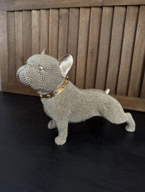 Bulldog