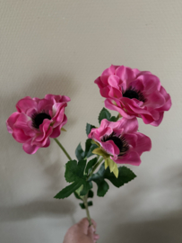Anemoon in 4 kleuren verkrijgbaar