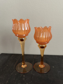 Tulpen waxine glaasjes oranje