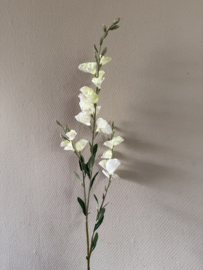 Flower beancurd White / green