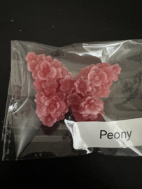 Amber geur vlinders /7 geuren