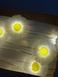 Lichtsnoer flower wit / geel