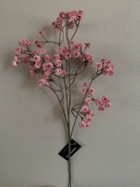 Gipskruid Donker Roze