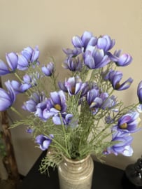 Cosmos Chanel paars 61 cm