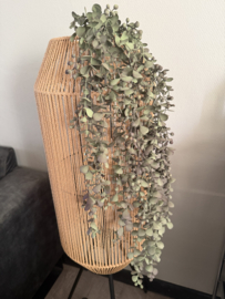 Eucalyptus hanger