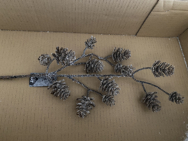 Pine cone takken