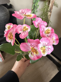 Viooltjes 33 cm pink