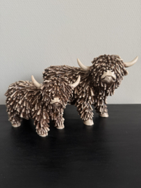 Schotse Hooglanders in 2 maten