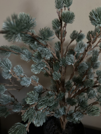 X-tree larix grijs / groen 80 cm brynxz