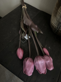 Bos tulpen 5 st  Roze 47 cm  OP=OP !