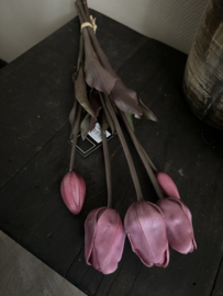 Bos tulpen 5 st  Roze 47 cm
