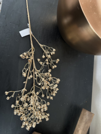 Gypsophillia zweig goud 60 cm