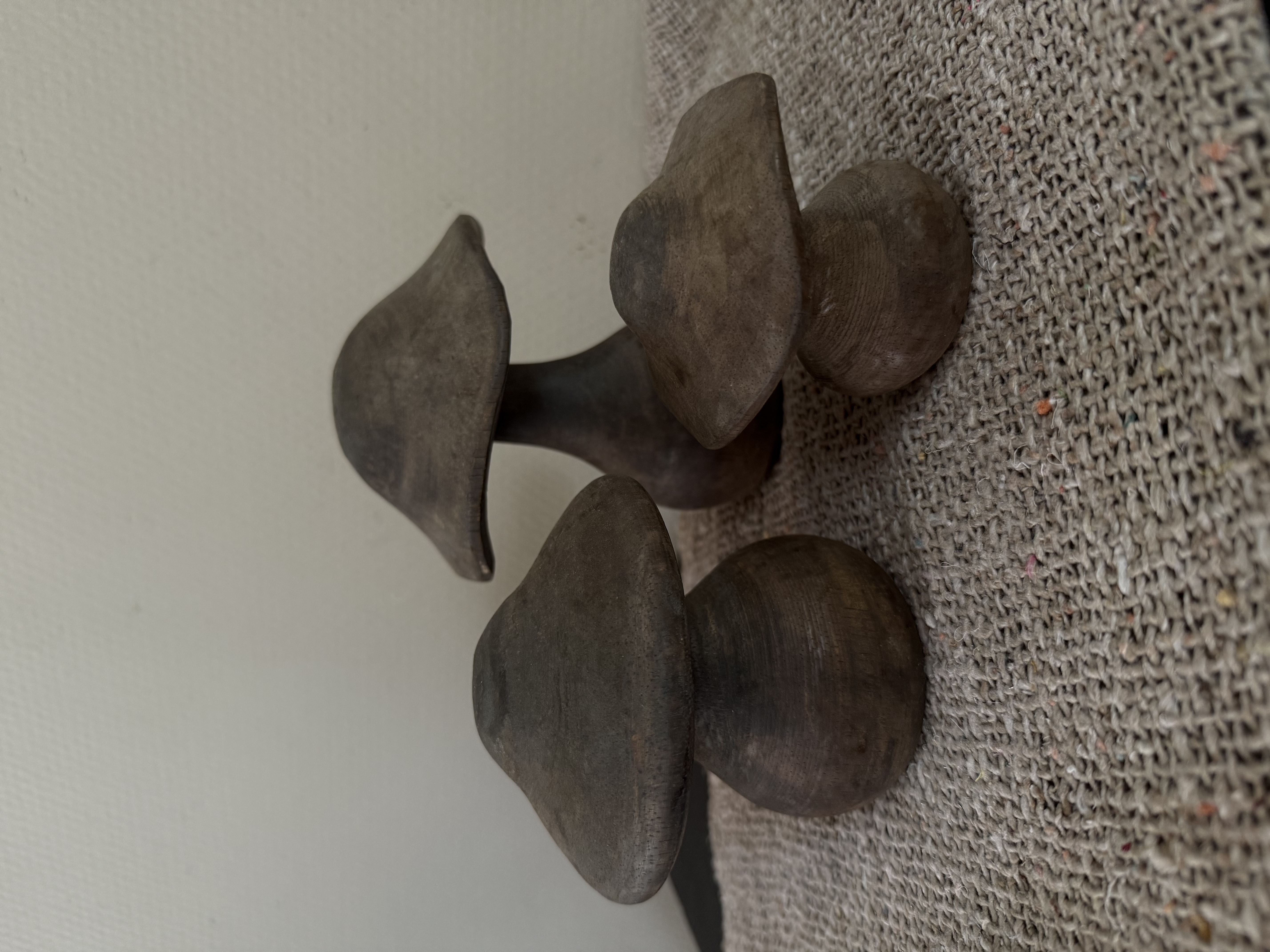 Houten paddestoelen