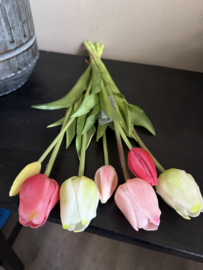 Tulpen mixed fuchsia /wit roze 47 cm