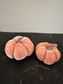 Pompoentjes in 2 maten