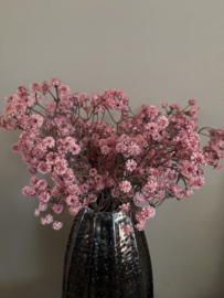 Gipskruid Donker Roze