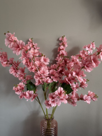 Flowertak Roze 1 m