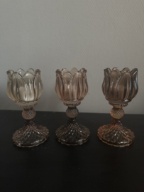 Waxine glaasjes Tulp