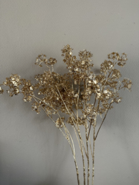 Gypsophillia goud