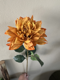 Dahlia herfst oranje 70 cm