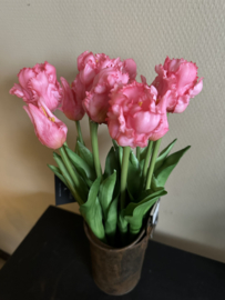 Parrot tulpen roze 40 cm