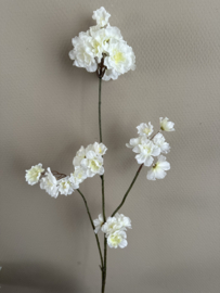 Bloesem wit 87 cm