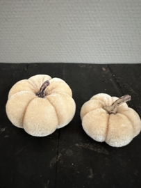 Pompoentjes in 2 maten