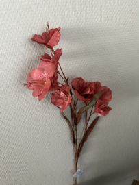 Butterfly dark red  75 cm