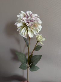 Dahlia crème / roze 65 cm