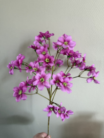 Dogwood bloemtak 69 cm