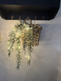 Kapstokmandje + groenhanger met led