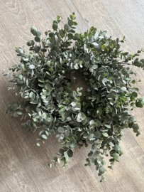 Krans Eucalyptus 2 maten