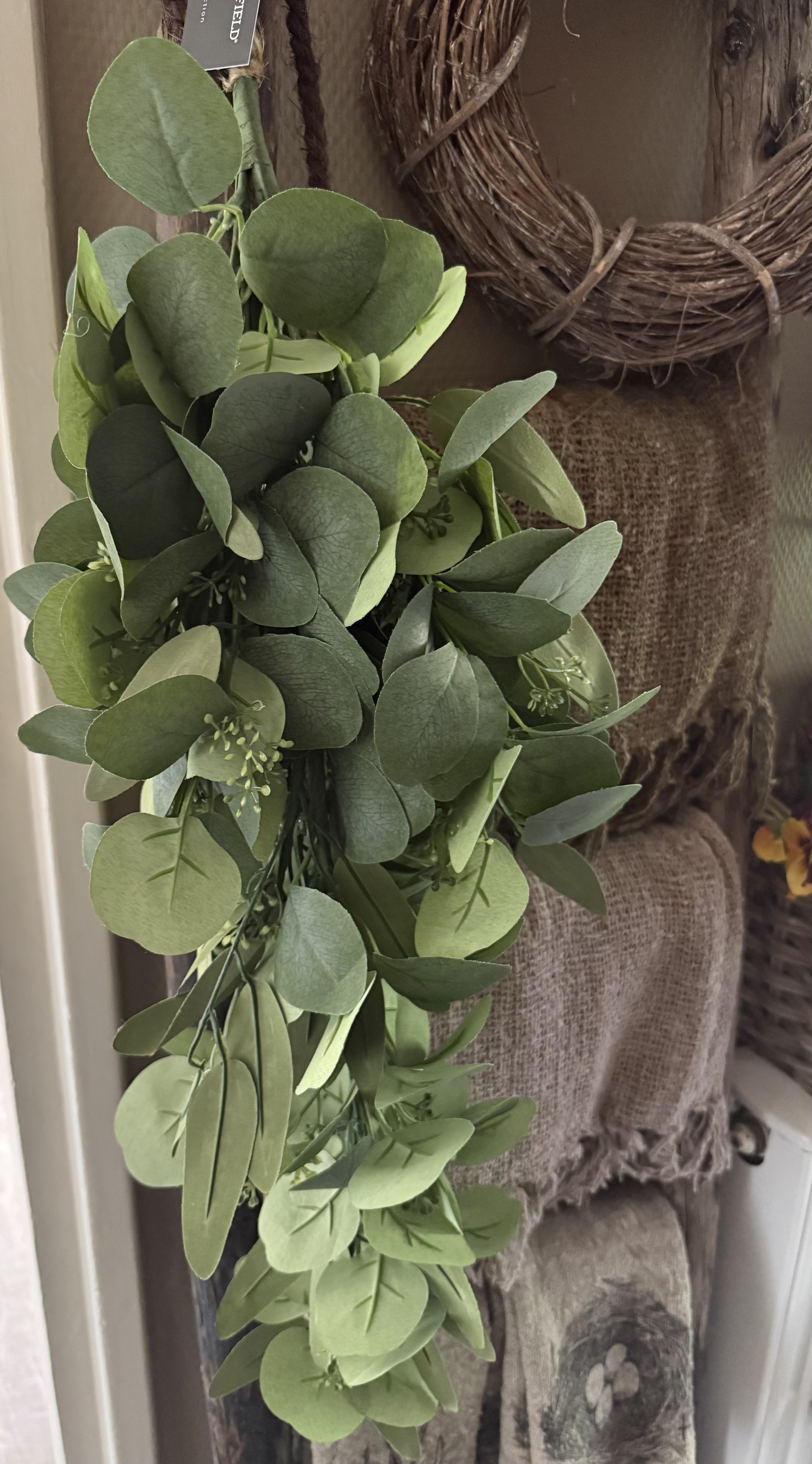 Toef eucalyptus